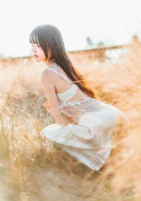 顾总闪婚短剧免费观看_4K超清在线观看
