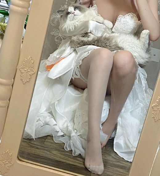 奇妙的夜晚在线观看_1080电影完整版在线观看
