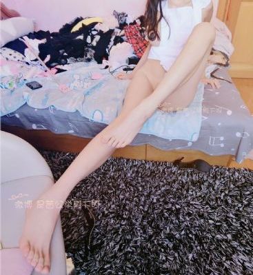环游记寻梦环游记_高清免费观看电视剧